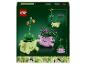 Achterkant van de LEGO BOTANICALS Schaukelnde Pflanzen doos met twee potten met gezichtjes.