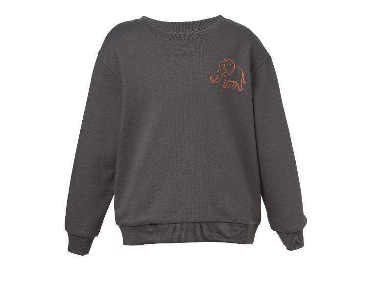Grijze sweater met een oranje olifantenprint op de borst.