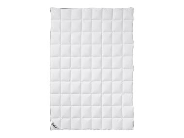 Fjödur Donzen zomer dekbed licht