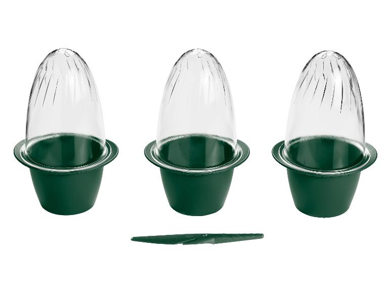 Drie groene potten met transparante, ovale deksels voor het kweken van planten.