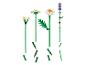 LEGO BOTANICALS Madeliefjes 11508 bouwbare bloemen met details