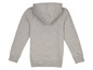 Een grijs sweatshirt met capuchon.