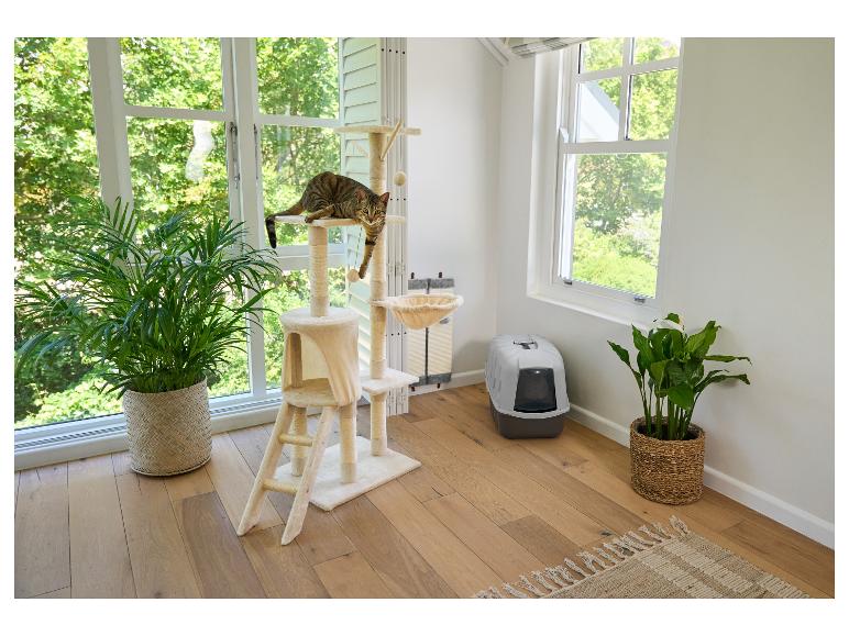 Kat op krabpaal, kattenbak en planten bij het raam.