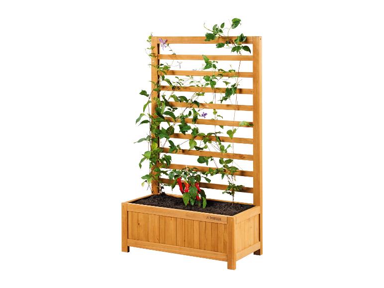 Houten plantenbak met klimmuur en plant