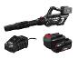 PARKSIDE® Accu-bladblazer 40 V met 4 Ah accu en lader