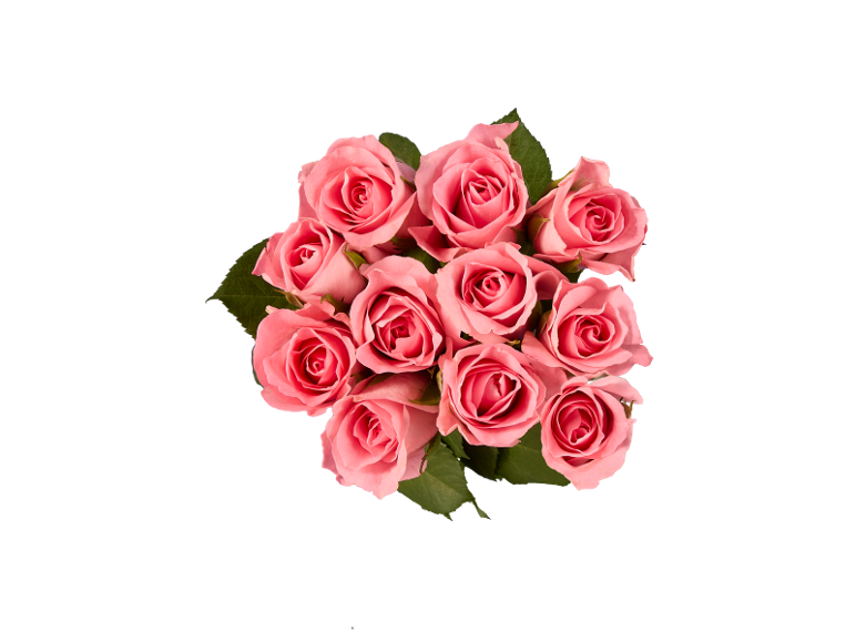 Boeket roze rozen met groene bladeren op een zwarte achtergrond