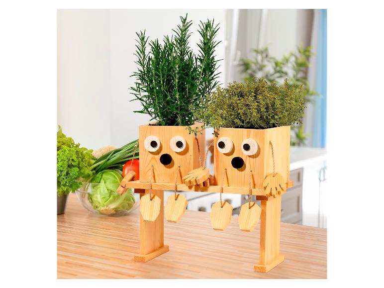 Twee houten kruidenpotten met rozemarijn en tijm, ontworpen met gezichten, op een aanrecht.