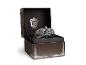 The Noble Collection Ravenklauw diadeem replica in een decoratieve doos