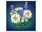 LEGO BOTANICALS Madeliefjes 11508