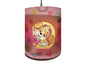 Roze hanglamp met Skye van Paw Patrol.