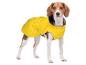Beagle hond in gele regenjas staat en kijkt recht vooruit.