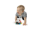 Een baby kruipt achter een VTech zebra speeltje aan.