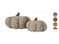 Twee zachte, beige decoratieve pompoenen met bruine stelen en kleurenpalet.