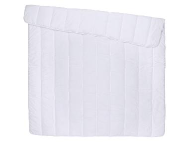 LIVARNO® Dekbed 200 x 200 cm