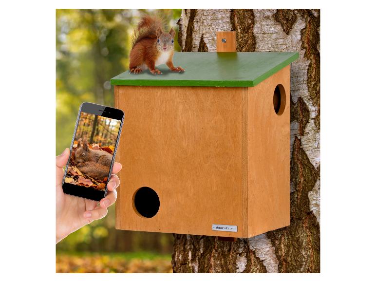 Houten eekhoornhuisje aan boom, eekhoorn op dak, hand houdt telefoon met eekhoornfoto.