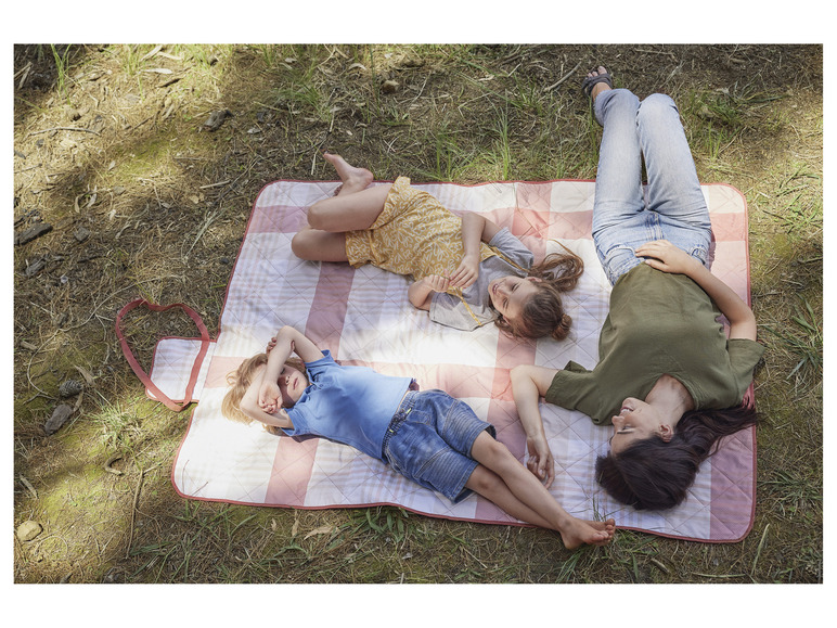 Ga naar volledige schermweergave: LIVARNO home Picknickdeken 168 x 127 cm - afbeelding 15