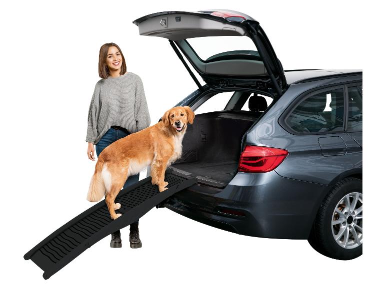 Hondenoprit, auto en Golden Retriever.