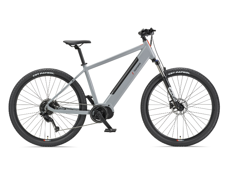 TELEFUNKEN Aufsteiger MT925 29-inch grijze elektrische mountainbike.