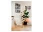 Gezellige kamer met een fauteuil, plant en neonlichtdecoratie aan de muur.