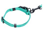 Een turkooise hondenriem met een zwarte gesp en een karabijnhaak.