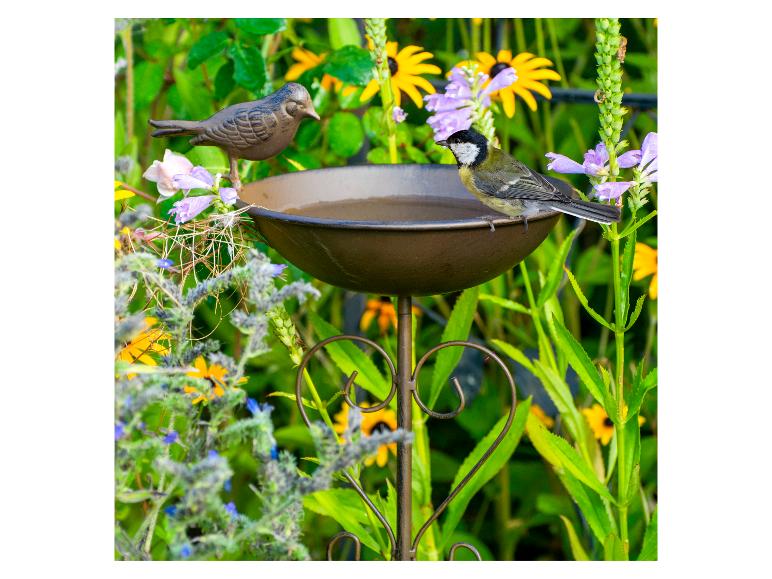 Vogelbad met metalen vogelbeeldje en levende koolmees, omringd door bloeiende bloemen.