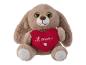 Een bruin pluche knuffeldier met een rood hart met de tekst 'Love'