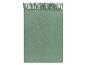 Groene sjaal of deken met franjes