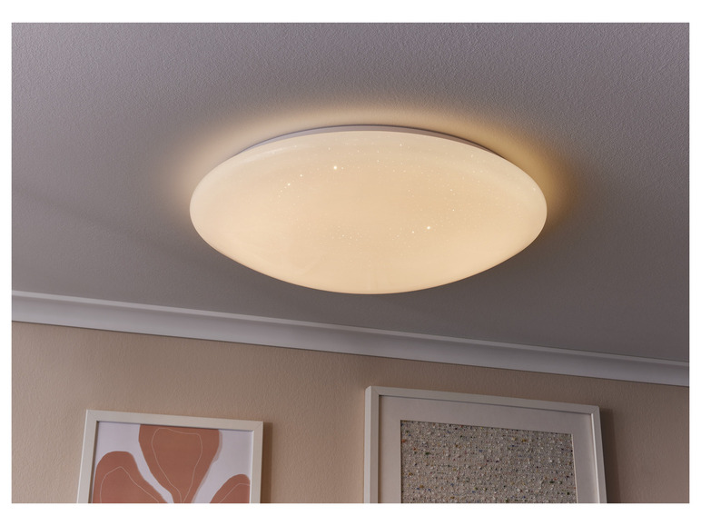 Ga naar volledige schermweergave: LIVARNO home LED plafondlamp - afbeelding 8