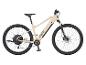 Dice elektrische mountainbike, beige, met Prophete motor.