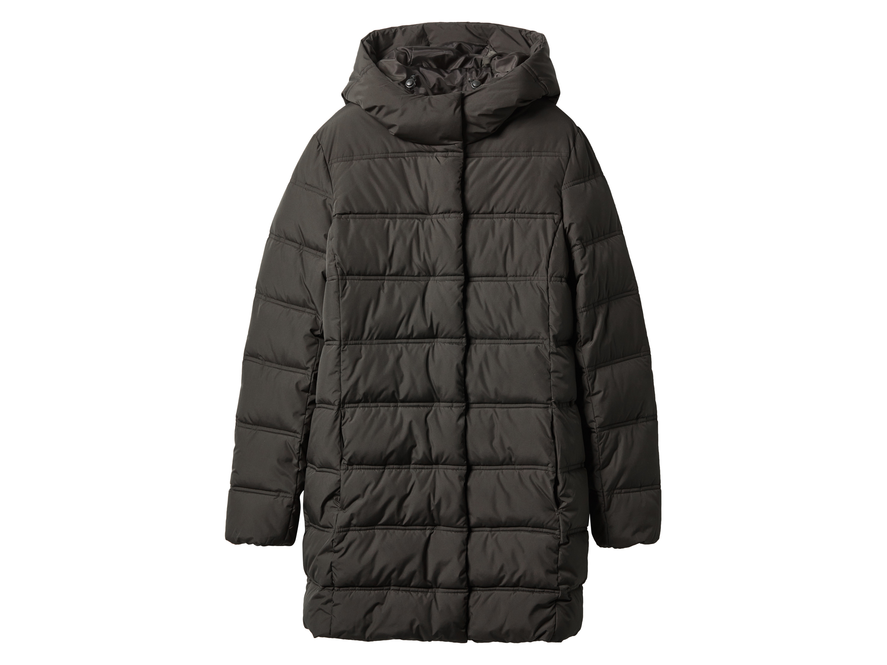 esmara Dames winterjas (Kaki, S (36/38))