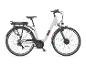 Witte elektrische fiets met een zwart zadel, bagagedrager en spatborden.