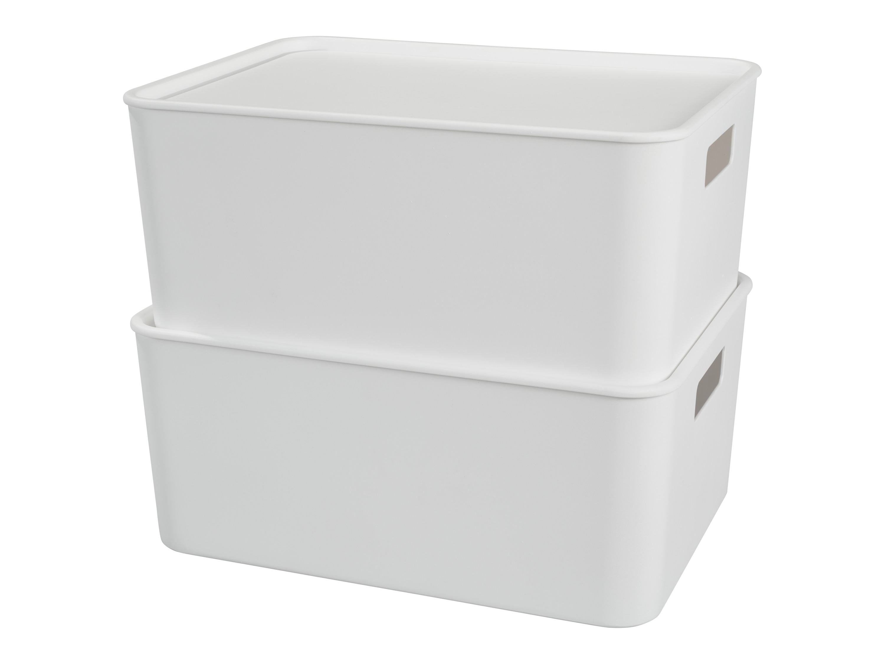 Opbergboxen met deksel 11 L - 2 stuks afbeelding