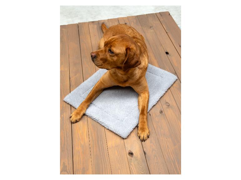 Een bruine hond die op een grijs hondenbed ligt.