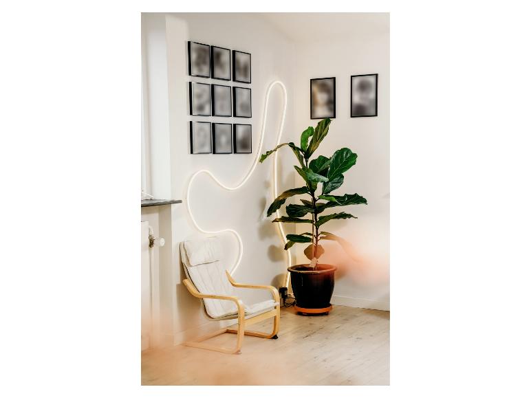 Gezellige kamer met een fauteuil, plant en neonlichtdecoratie aan de muur.