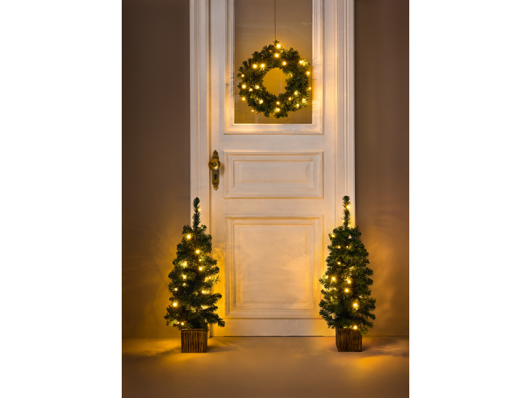 Kerstkrans en twee kleine kerstbomen met verlichting bij een deur.