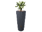 Hoge donkergrijze bloempot met groene plant en gouden kraan.