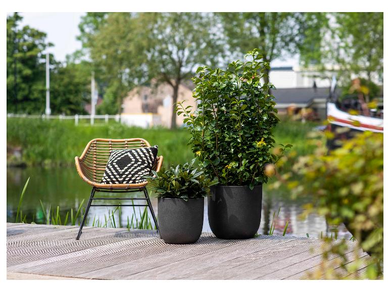 Rotan stoel met kussen en potplanten op een houten vlonder aan het water.