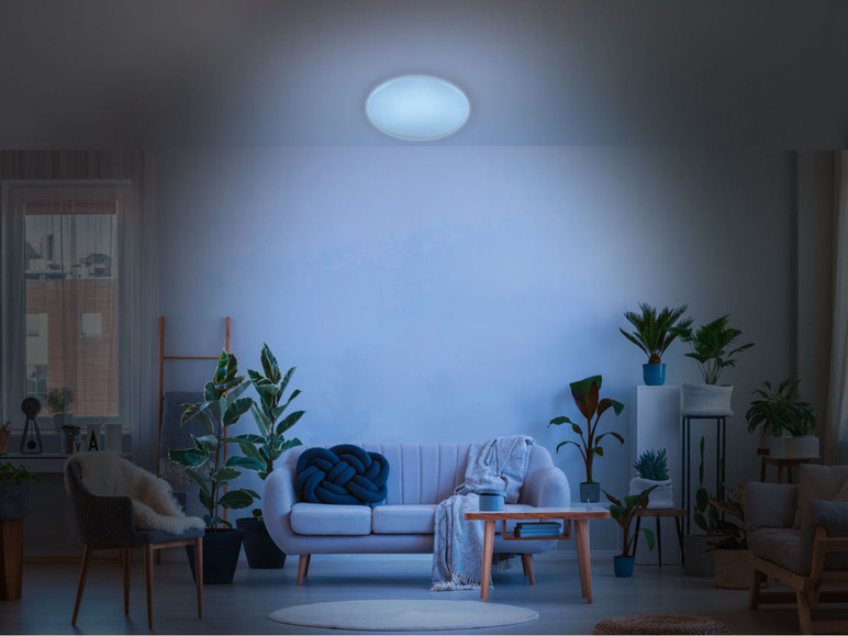 Ga naar volledige schermweergave: LIVARNO home LED-plafondlamp met kleurwisseling - afbeelding 20