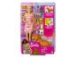 Barbiepop met puppy's en accessoires, inclusief een grote hond en kleine puppy's.