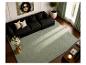 Moderne woonkamer met zwarte bank, groen vloerkleed, glazen salontafel en potplant.