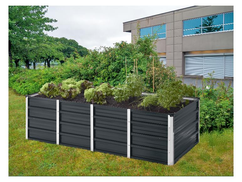 Verhoogde moestuin met sla en kruiden in een tuin bij een gebouw.