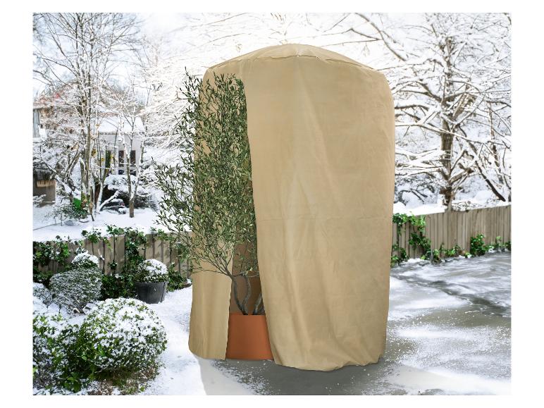 Een grote olijfboom in pot, deels bedekt met een beige winterhoes in een besneeuwde tuin.