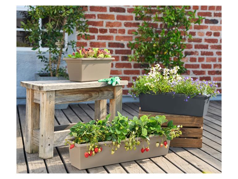 Plantbakken met aardbeien, sla en bloemen op een houten vlonder.