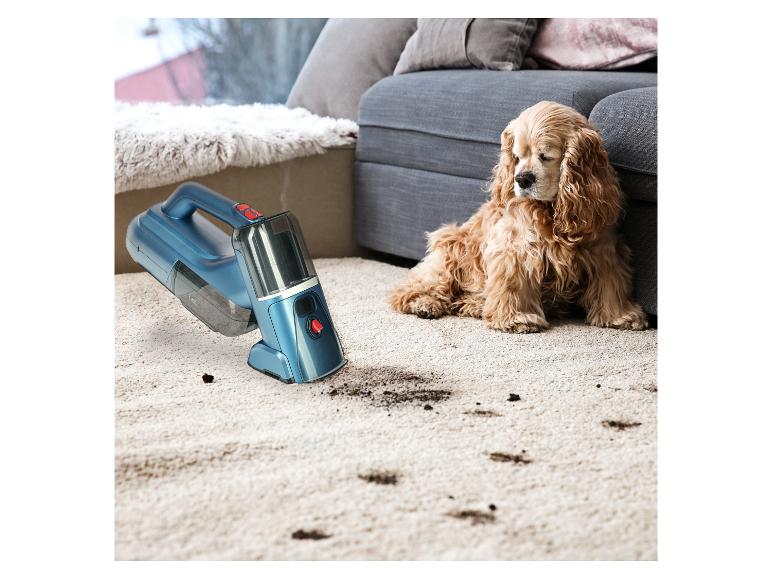 Handstofzuiger reinigt een tapijt met vuile pootafdrukken naast een hond.