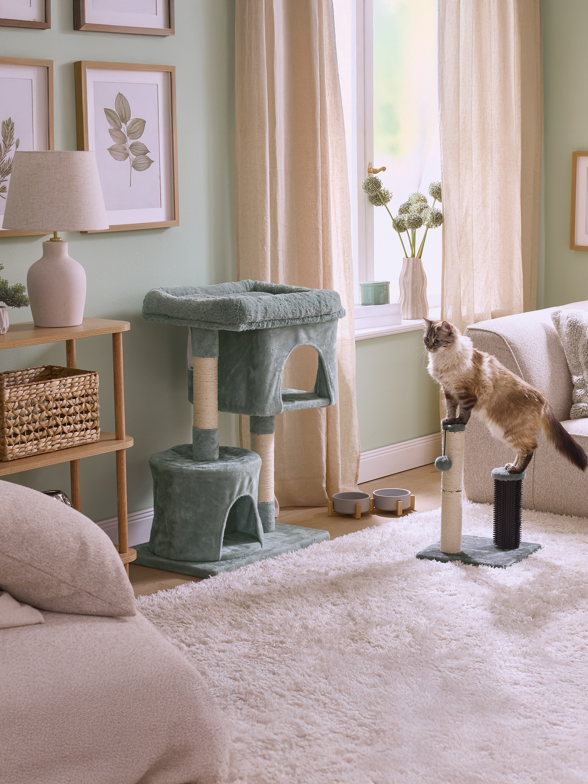 Kat op krabpaal in woonkamer met beige vloerkleed en groene muren.