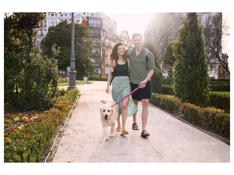 Een stel wandelt met hun hond in een park op een zonnige dag.