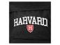 Zwarte rugzak met wit Harvard logo en rood schild.