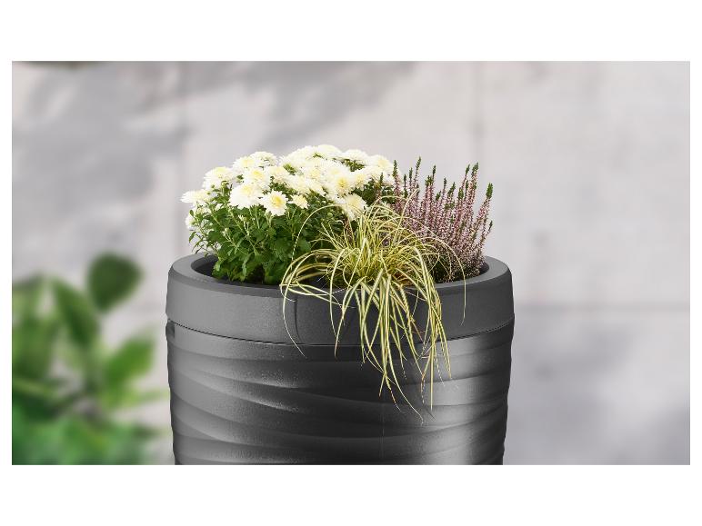 Donkergrijze plantenbak met witte chrysanten, heide en siergras.