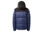Heren gewatteerde jas met capuchon, marineblauw en zwart, achteraanzicht.