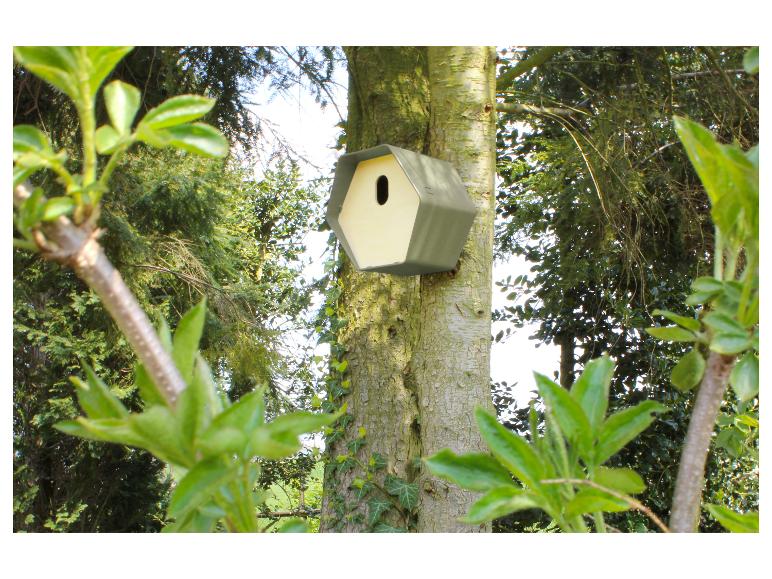 Moderne vogelhuisje aan een boomstam, omringd door weelderig groen.